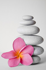 Image showing Stone Stack and Frangipani Flower