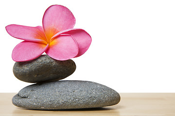 Image showing Stone Stack and Frangipani Flower