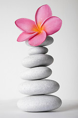 Image showing Stone Stack and Frangipani Flower