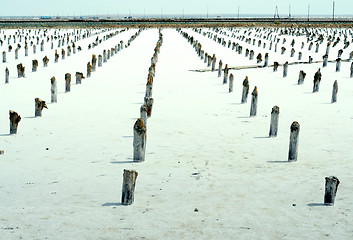 Image showing salty lake Baskunchak,Russia