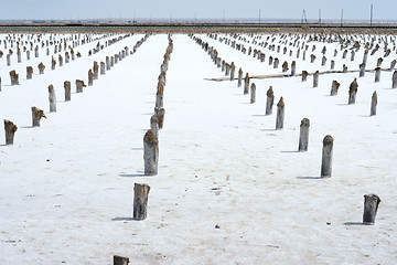 Image showing salty lake Baskunchak,Russia