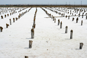 Image showing salty lake Baskunchak,Russia