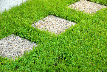 Image showing Path in lawn