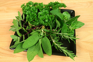 Image showing Green fresh herbs