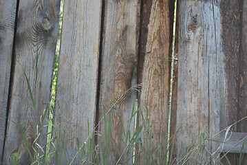 Image showing old wood