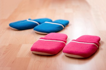 Image showing Slippers