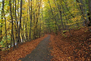 Image showing Autumn Path