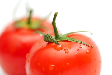 Image showing Tomatos