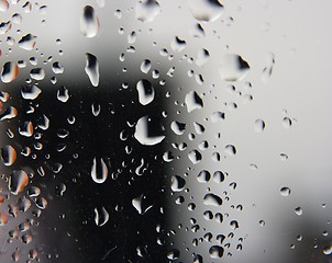 Image showing Raindrops