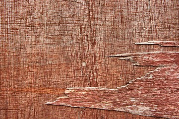 Image showing Wood