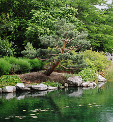 Image showing japanese garden