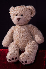 Image showing Teddy Bear