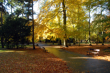 Image showing Autumn in an park