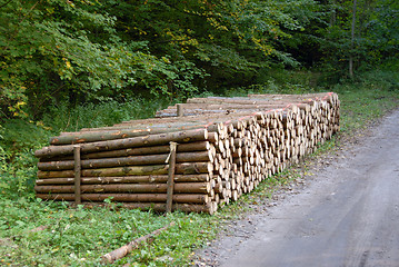 Image showing pile of Wood