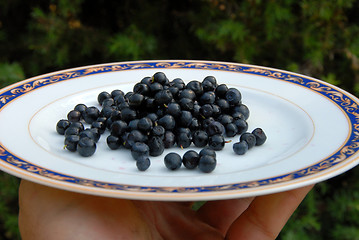 Image showing berry on the plate