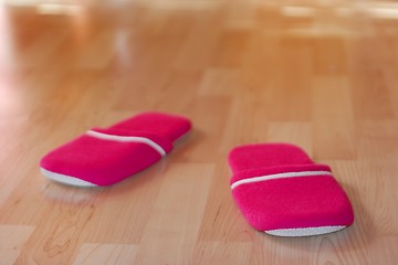 Image showing Slippers