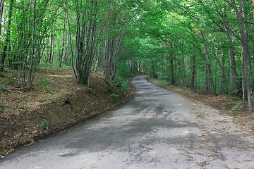 Image showing Road