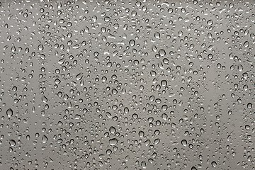 Image showing Droplets