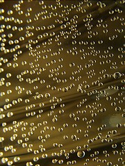 Image showing Bubbles