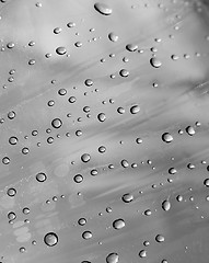 Image showing Droplets