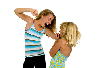 Image showing two sister girls having a fight