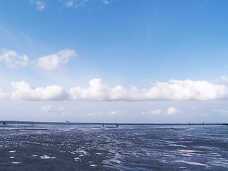 Image showing low tide tideland