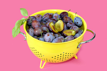 Image showing Fresh plums