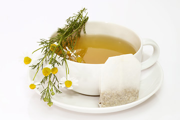 Image showing Camomile tea