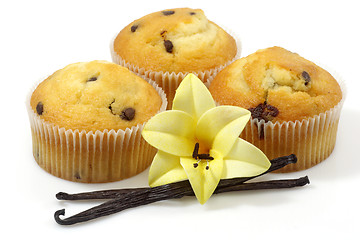 Image showing Vanilla muffins