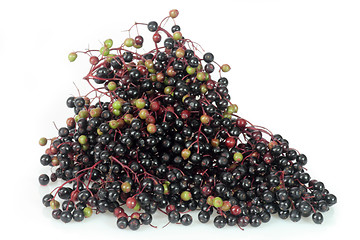 Image showing Elderberries