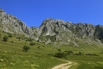 Image showing Trascau Mountains,Transylvania,Romania