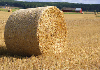 Image showing Straw Bale In Field