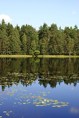 Image showing Forest Lake Reflections