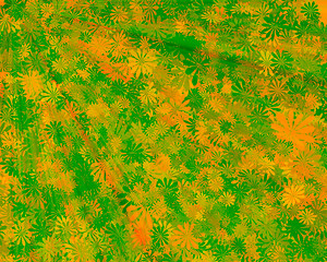 Image showing Abstract leaves background