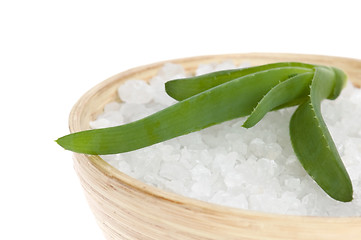 Image showing bath salt and aloe vera