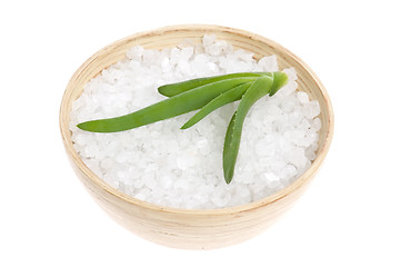 Image showing bath salt and aloe vera