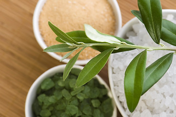 Image showing fresh olive branch and bath salt. spa