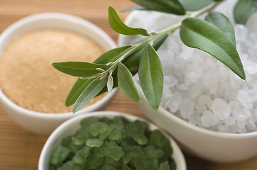 Image showing fresh olive branch and bath salt. spa