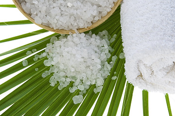 Image showing bath salt with palm leaf