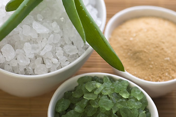 Image showing bath salt and aloe vera