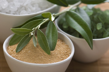 Image showing fresh olive branch and bath salt. spa