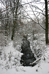 Image showing brook on winter