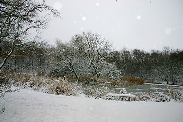 Image showing lake on winter