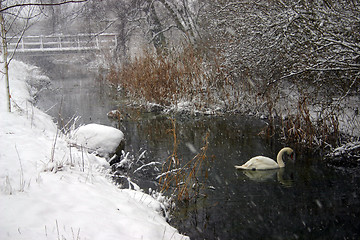 Image showing brook on winter