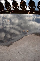 Image showing Skulls In The Puddle