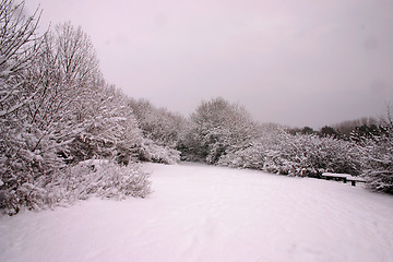 Image showing winter