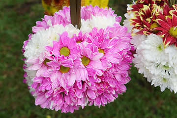 Image showing Flowers