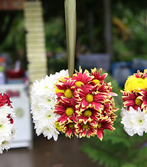 Image showing Flowers