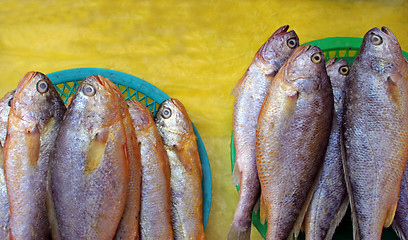 Image showing Fish