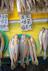 Image showing Fish market